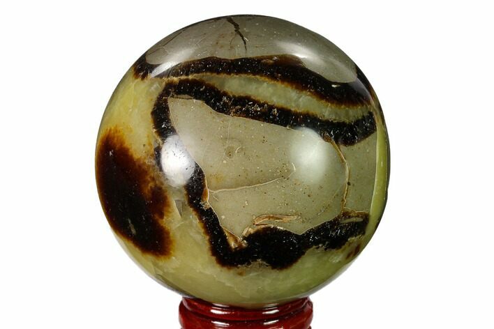 2.5" Polished Septarian Sphere - Madagascar